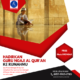 Guru Ngaji Ke Rumah Jogja Solo Murah